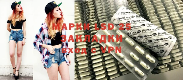 индика Снежинск
