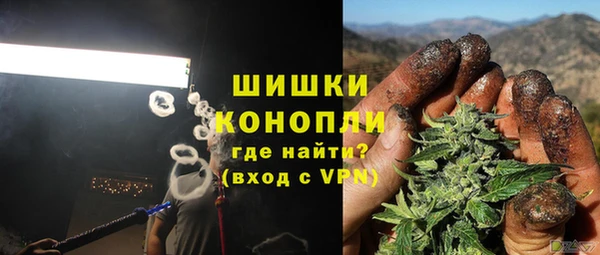 бошки Белокуриха