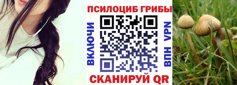 наркошоп  Высоковск  Галлюциногенные грибы MAGIC MUSHROOMS 